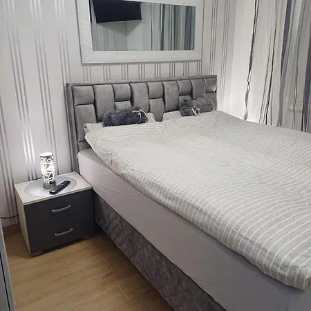Dolly Apartment
